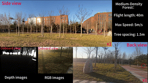 GIF Description